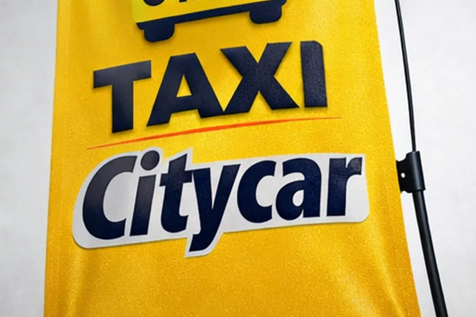 Banners X Araña Puebla